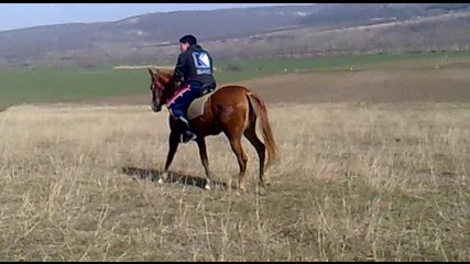 todorov den popovo2010