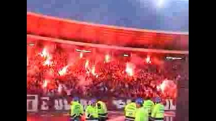 Crvena Zvezda delije Sever