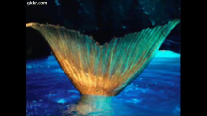 H2o Into