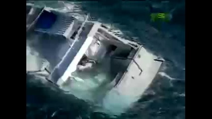 Untamed and Uncut / Dog Lost at Sea