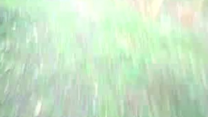 Koruycumuz Her Zaman Ormani Korudu Gibi Gozetim Altina Almakta 2017 Hd