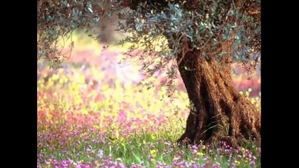 Le Vent Du Sud Enrico Macias