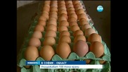 100 тона негодна храна засечена в складовете в София-област - Новините на Нова