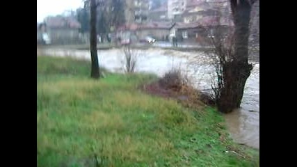преливането на р.джерман - 04.12.2010