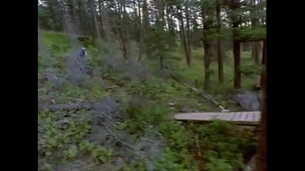 Mtb Extreme (the Best Of Roam) 