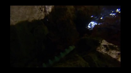 Къде снася яйцата си змията Крайт