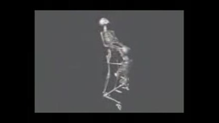 Скелети правят секс