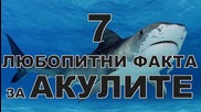 7 любопитни факта за акулите