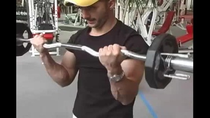 pompane na biceps
