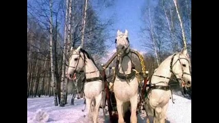 Бони Нем - Три Белых Коня 
