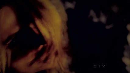 Kate Beckett - You were born a lion.