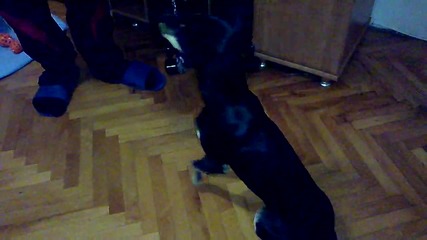 Vid_20141114_180629