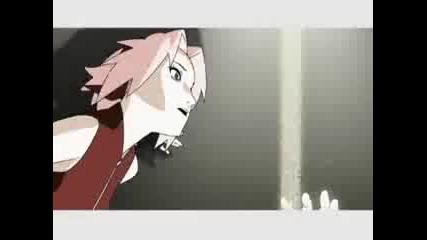 Naruto Shippuuden (1 opening)