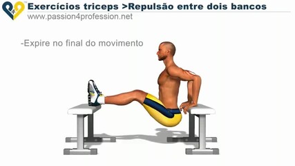 Repuls 