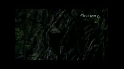 Man vs. Wild: Climb Cam 