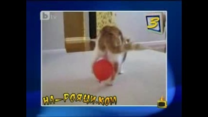 Господари на Ефира - 26.04.11 (цялото предаване)