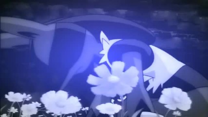 Pokemon Amv
