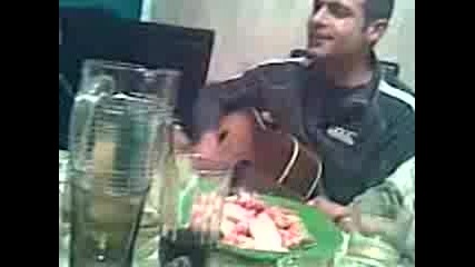 Kafata