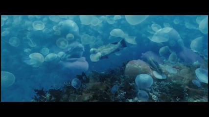 Disney Nature Oceans