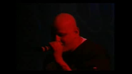 Psycho Realm & Street Platoon Live (2004)