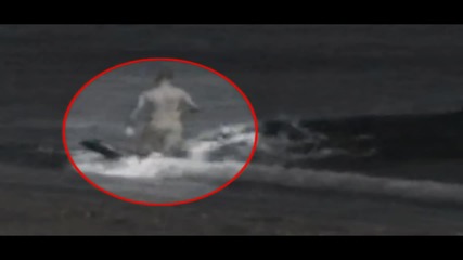 Косатка изяжда жив човек на брега на океана (18+)