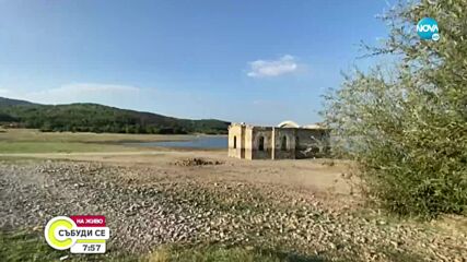 Видео - (2021-08-14 08:04:51)