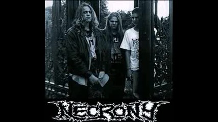 Necrony - Hills Of Cadavers