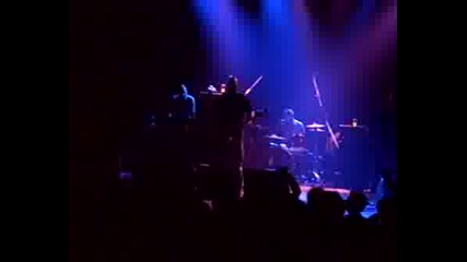 Pro - Pain Live