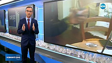 ЕВРОПРЕДСЕДАТЕЛСТВО: Какво се очаква от България в областта на дигитализацията?