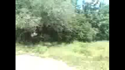 vodopada 2