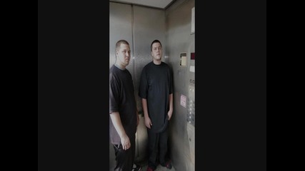 Savage Brothers - Birds Eye