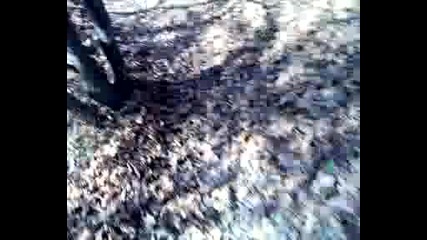 Яребковица