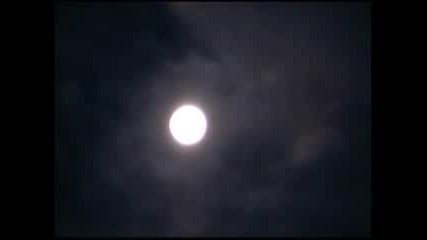 Harold Budd & Brian Eno - An Echo Of Night