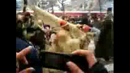Kukeri Blagoevgrad 4