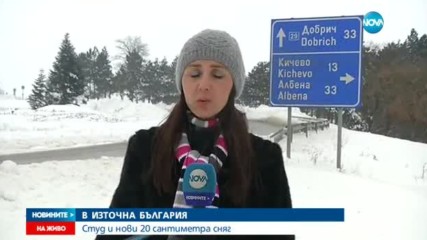 Новините на NOVA (10.01.2017 - обедна емисия)