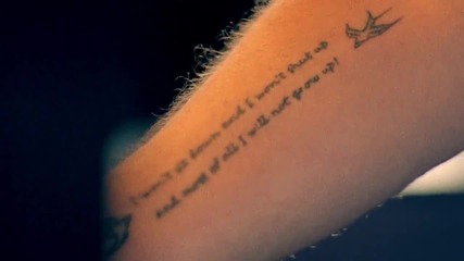Frank Turner - Losing Days