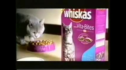 Reklama na Whiskas 