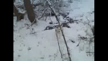 Видео004.3gp