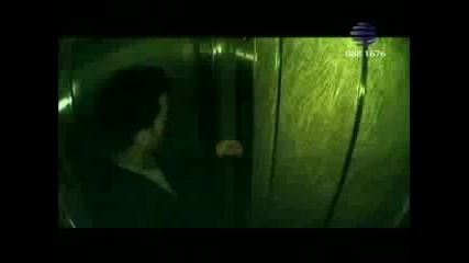 Kamelia - ti si vinoven