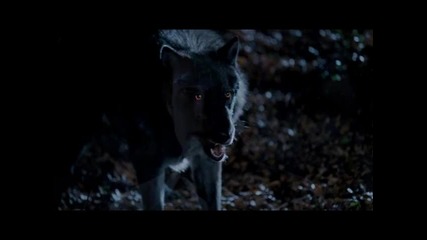 True Blood - Bill Compton vs. Werewolves