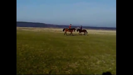 Конете в България