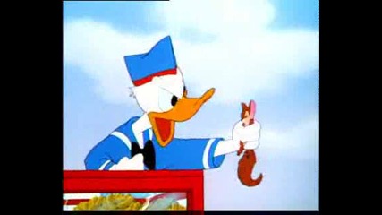 Donald Duck - The Flying Squirrel