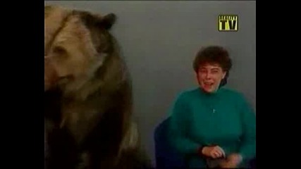 Мечка Атакува Жена