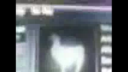 Уреди