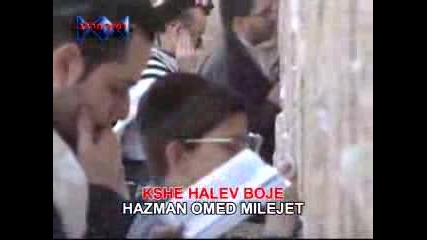 Kshehalev Bocheh