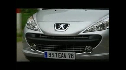 The Station Wagon Of The 2007 Is Called Peugeot 207 SW
