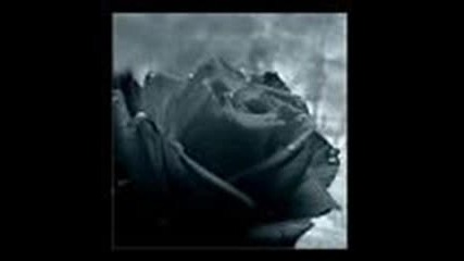 Danity Kane - Stay With Me 