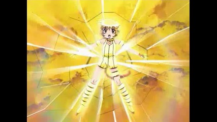 Mew Mew Metamorphosis - Hollaback Girl.wmv