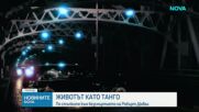 Холивуд скърби за загубата на Робърт Дювал