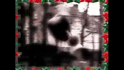 Christmas Free Running 